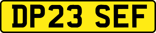 DP23SEF