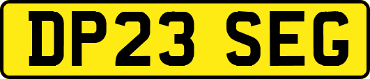 DP23SEG