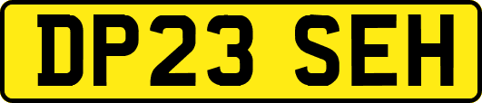 DP23SEH