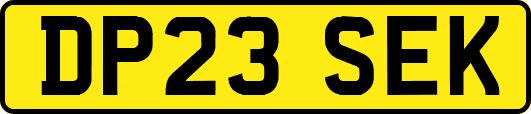 DP23SEK