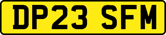 DP23SFM