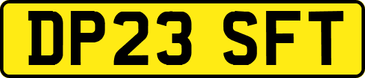 DP23SFT