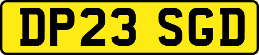 DP23SGD