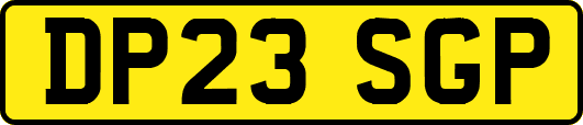 DP23SGP