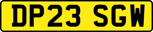 DP23SGW
