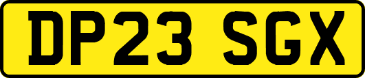 DP23SGX