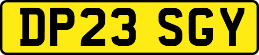 DP23SGY