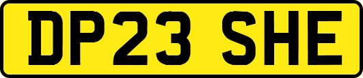 DP23SHE