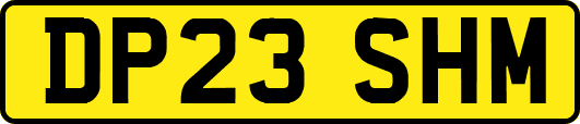 DP23SHM