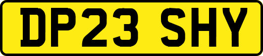 DP23SHY
