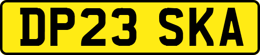 DP23SKA