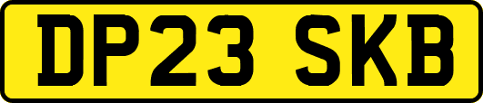 DP23SKB