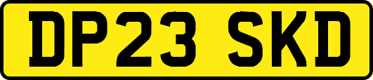 DP23SKD