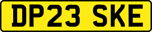 DP23SKE