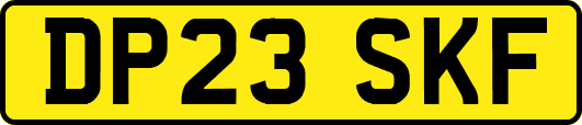DP23SKF