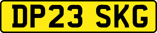 DP23SKG
