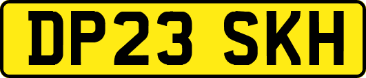 DP23SKH