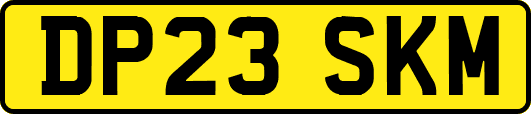 DP23SKM
