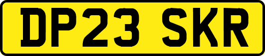 DP23SKR