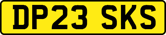DP23SKS