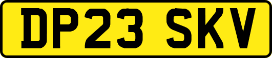 DP23SKV