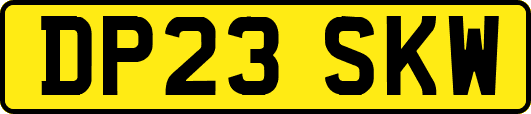 DP23SKW