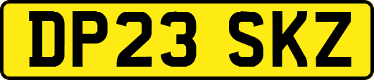DP23SKZ