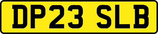 DP23SLB