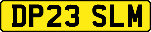 DP23SLM