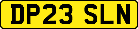 DP23SLN