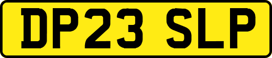 DP23SLP