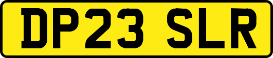 DP23SLR