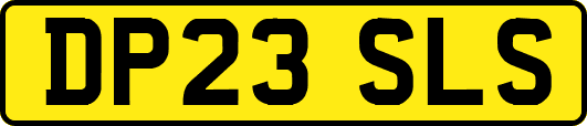 DP23SLS