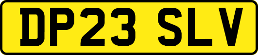 DP23SLV