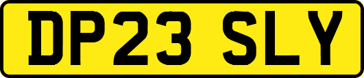 DP23SLY