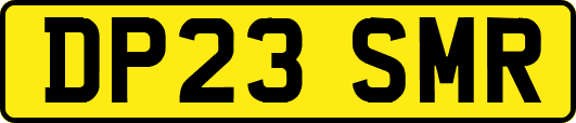 DP23SMR