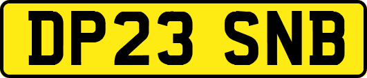DP23SNB