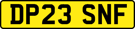 DP23SNF