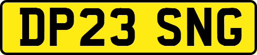 DP23SNG