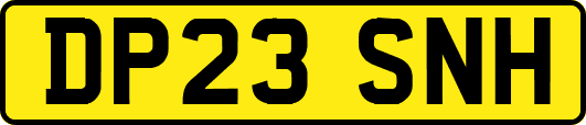 DP23SNH