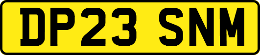 DP23SNM