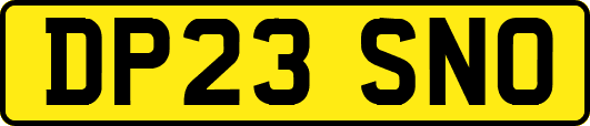 DP23SNO