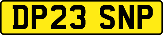 DP23SNP