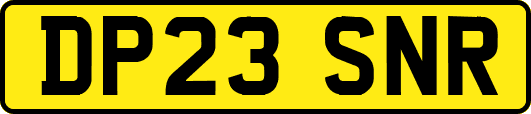 DP23SNR
