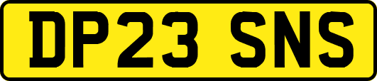 DP23SNS