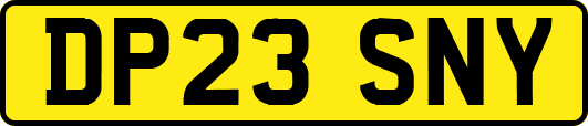 DP23SNY