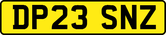DP23SNZ