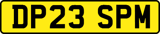 DP23SPM