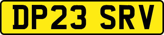 DP23SRV