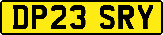 DP23SRY